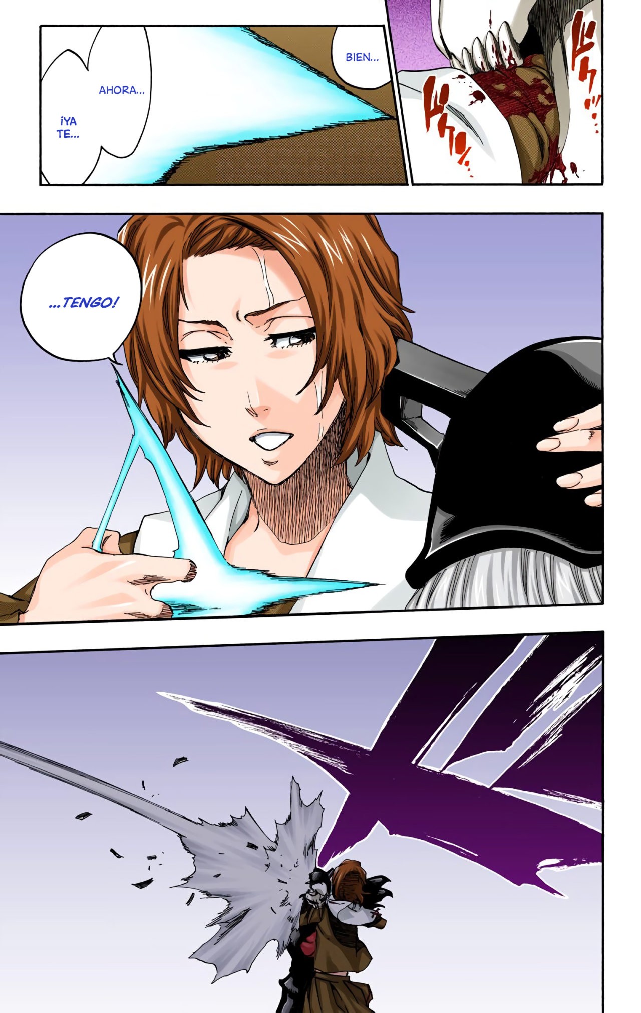 Read Bleach Full Color ES Manga Online