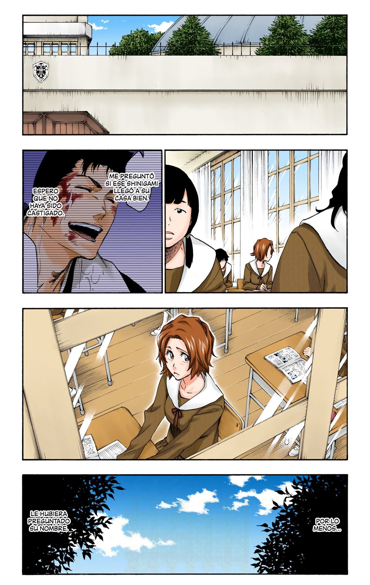 Read Bleach Full Color ES Manga Online