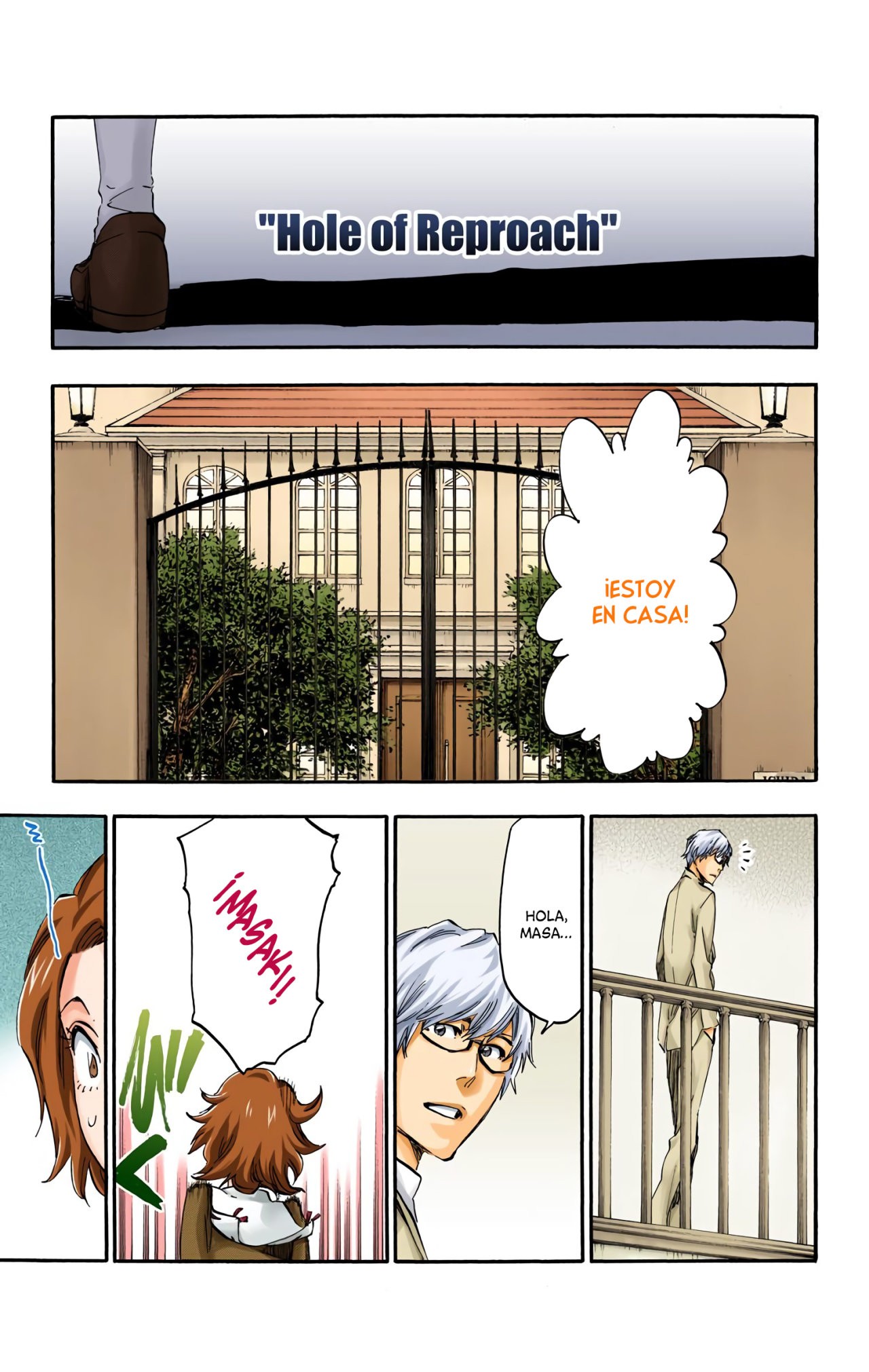 Read Bleach Full Color ES Manga Online