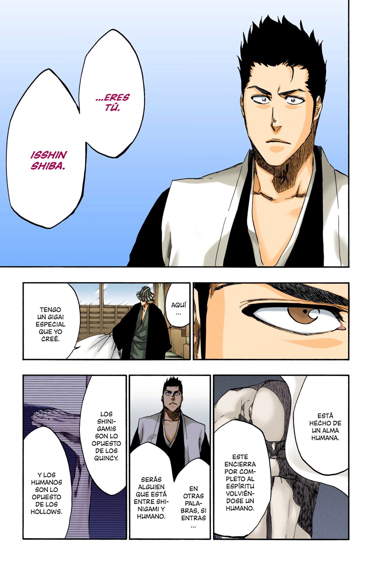 Read Bleach Full Color ES Manga Online
