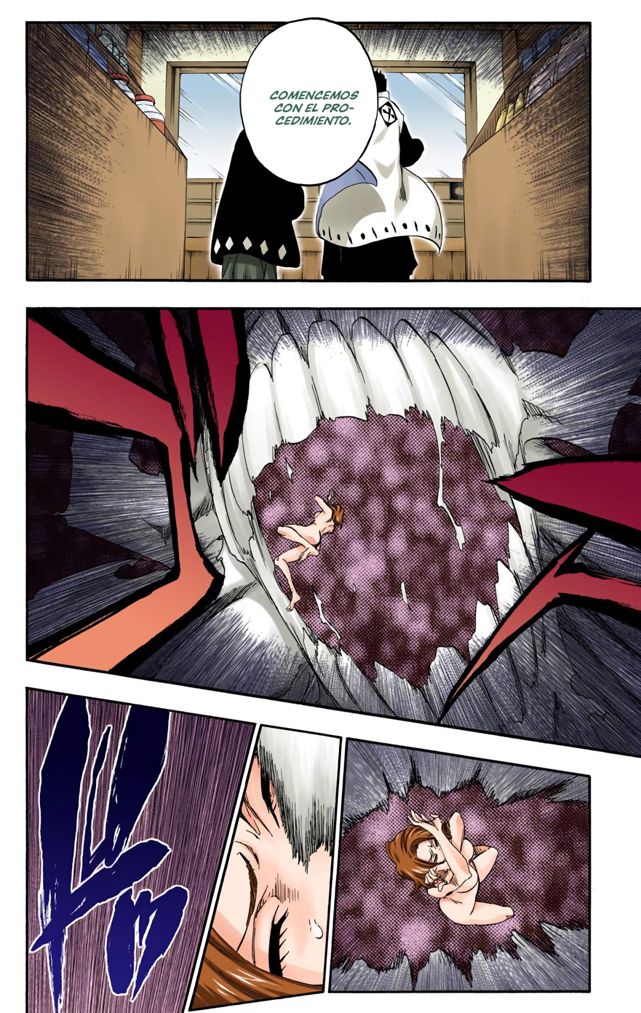 Read Bleach Full Color ES Manga Online