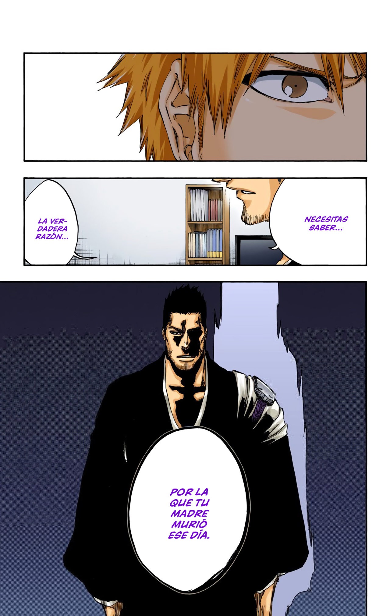Read Bleach Full Color ES Manga Online