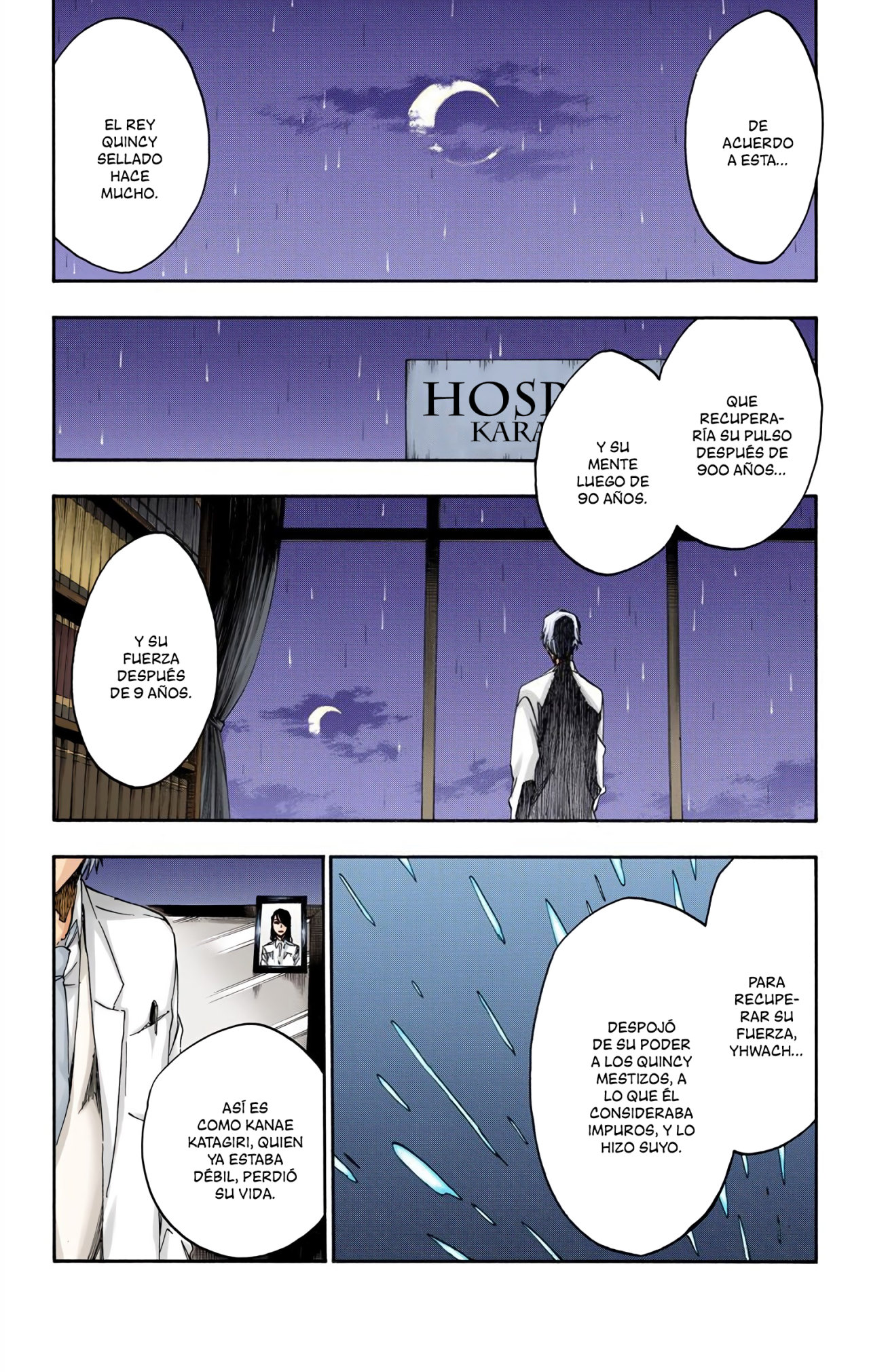 Read Bleach Full Color ES Manga Online