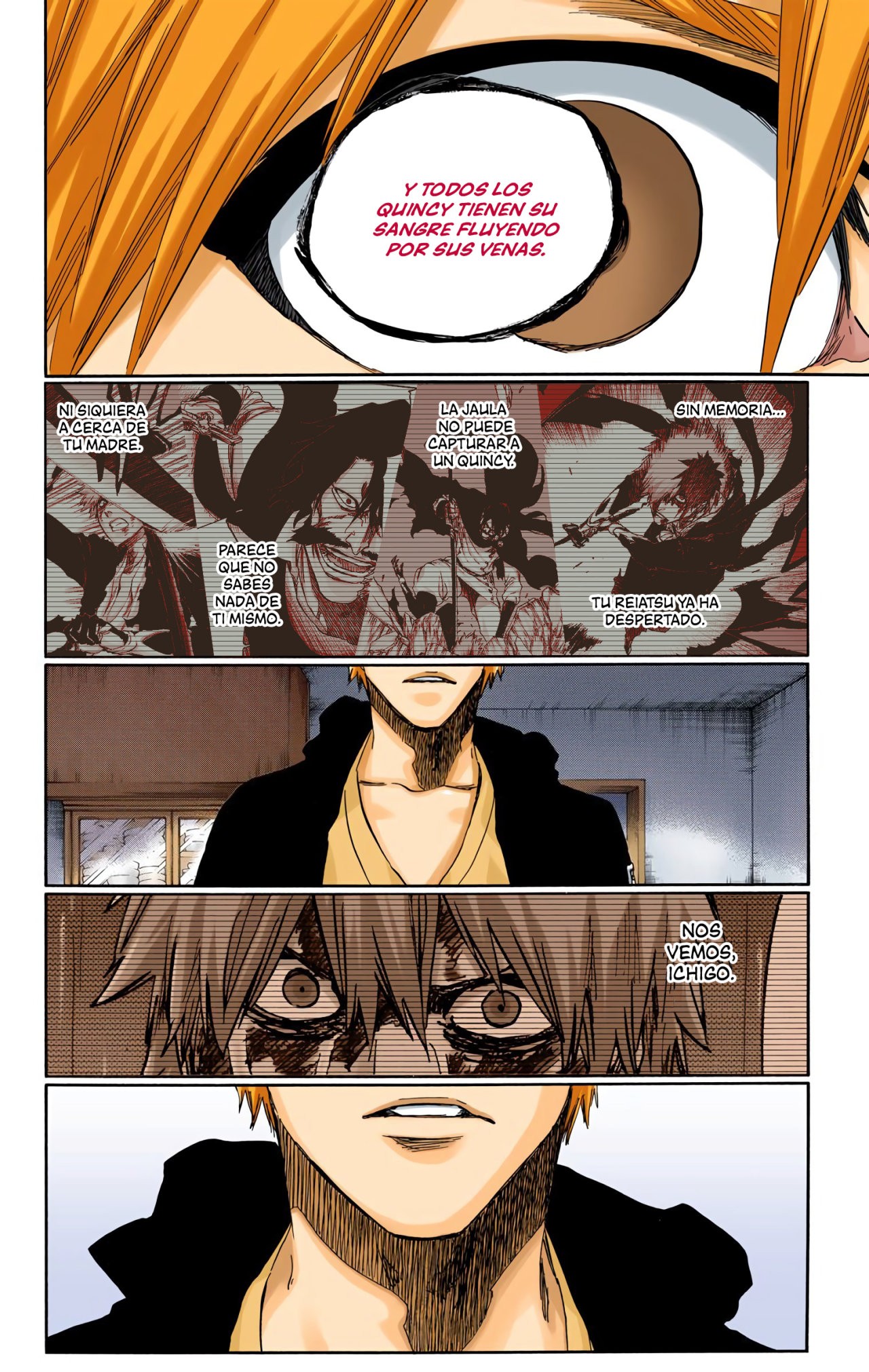 Read Bleach Full Color ES Manga Online