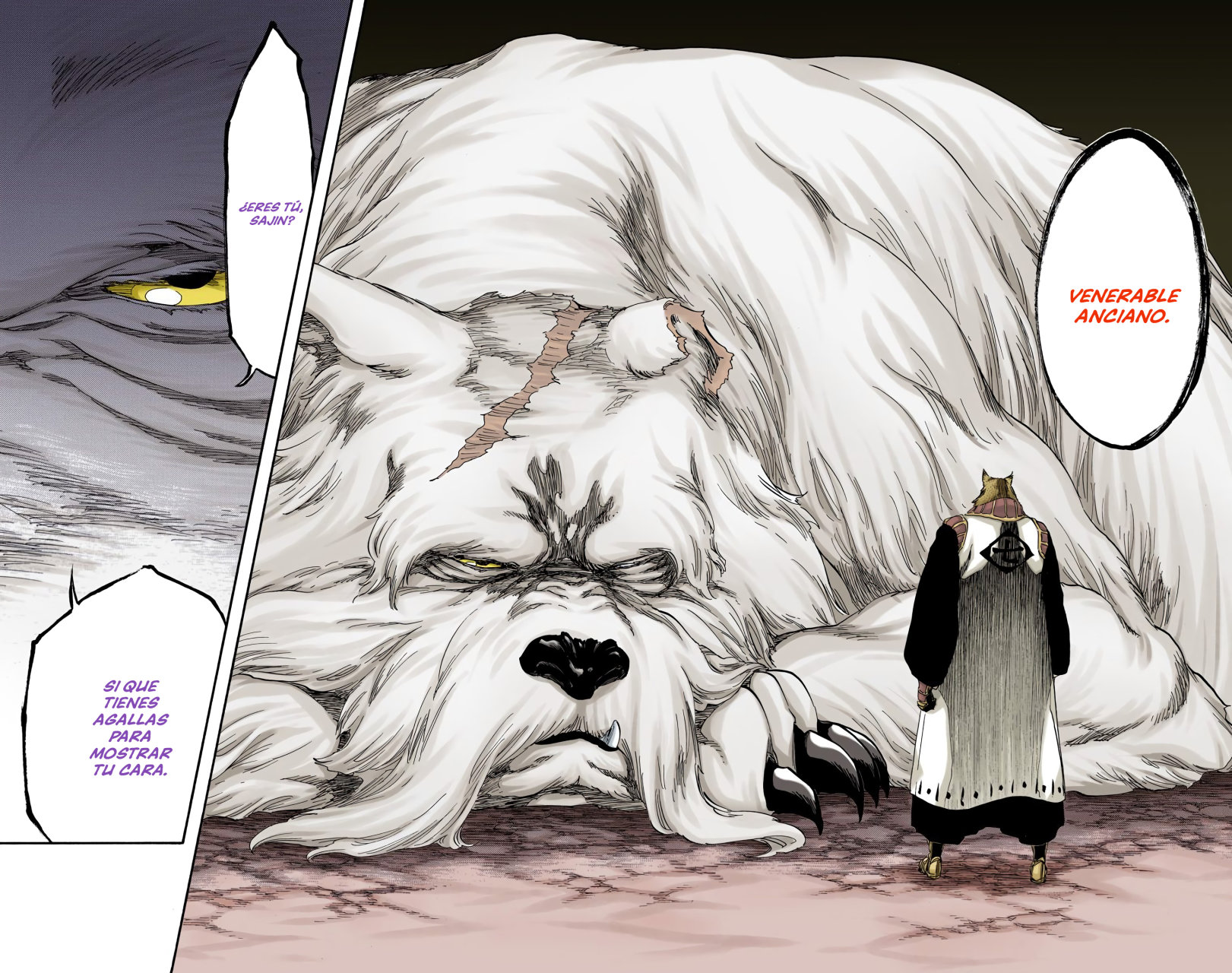 Read Bleach Full Color ES Manga Online