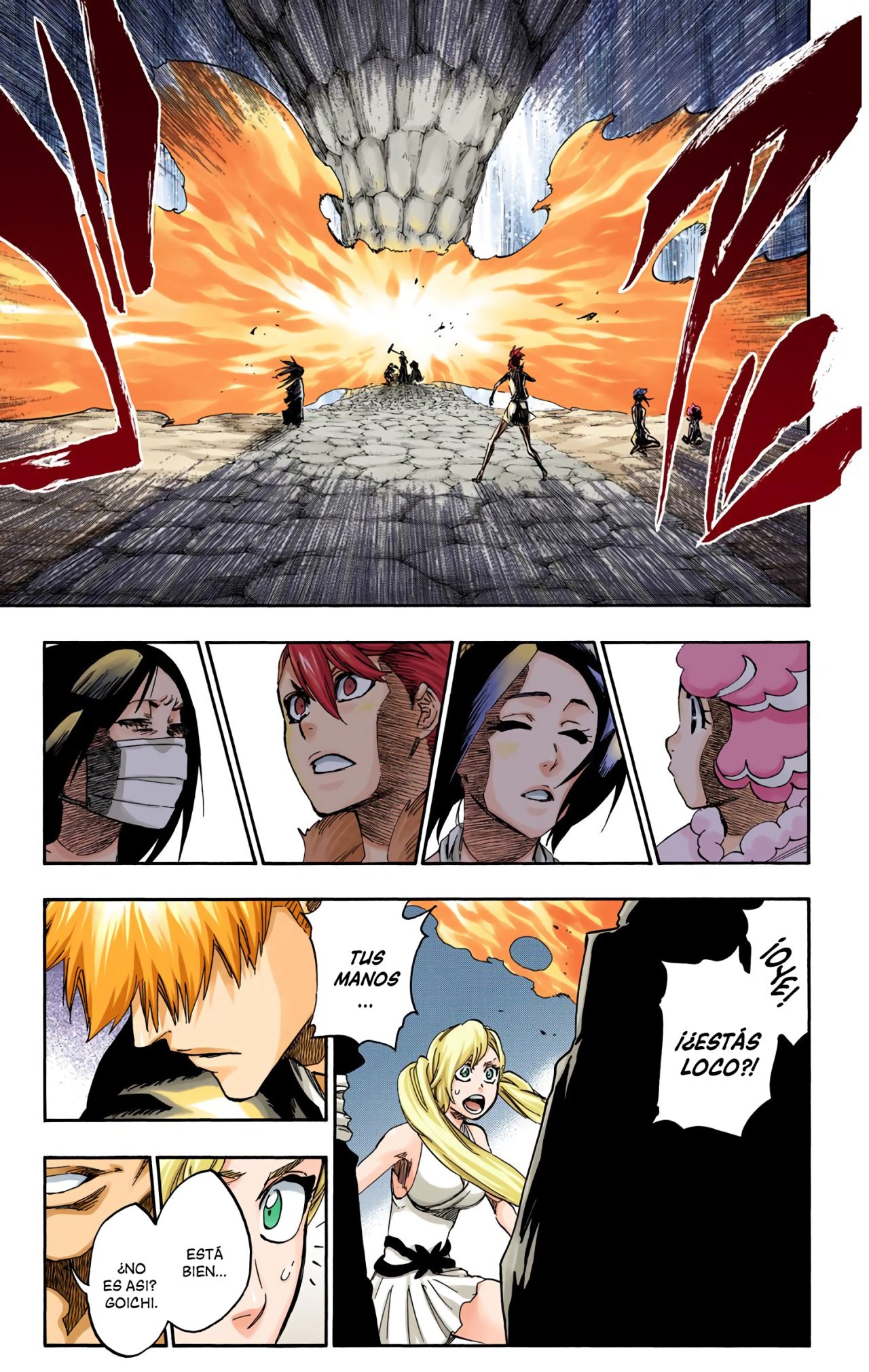 Read Bleach Full Color ES Manga Online