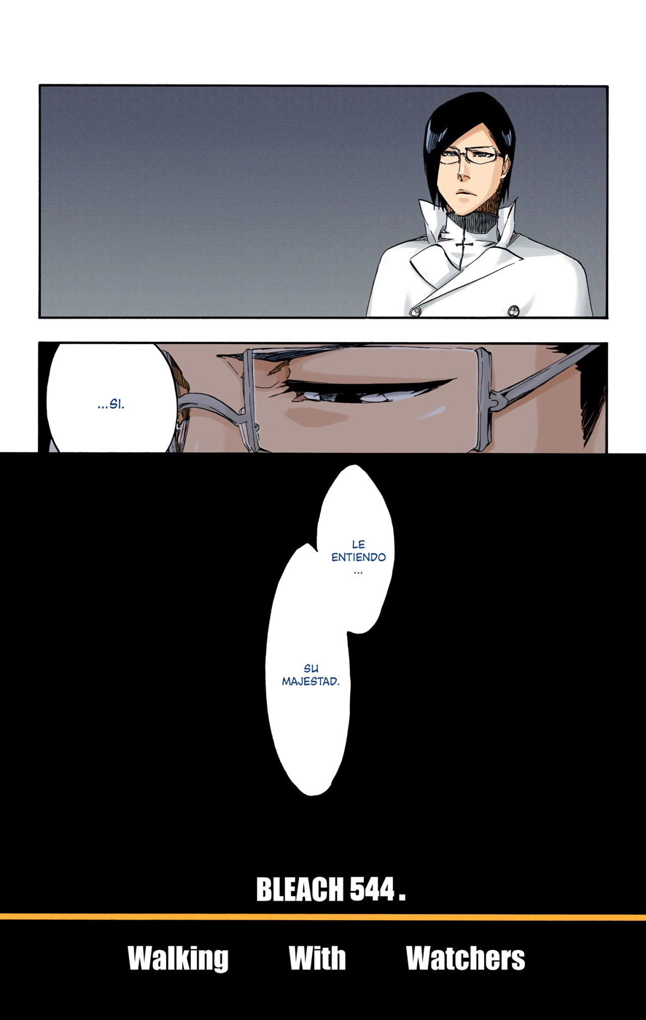 Read Bleach Full Color ES Manga Online