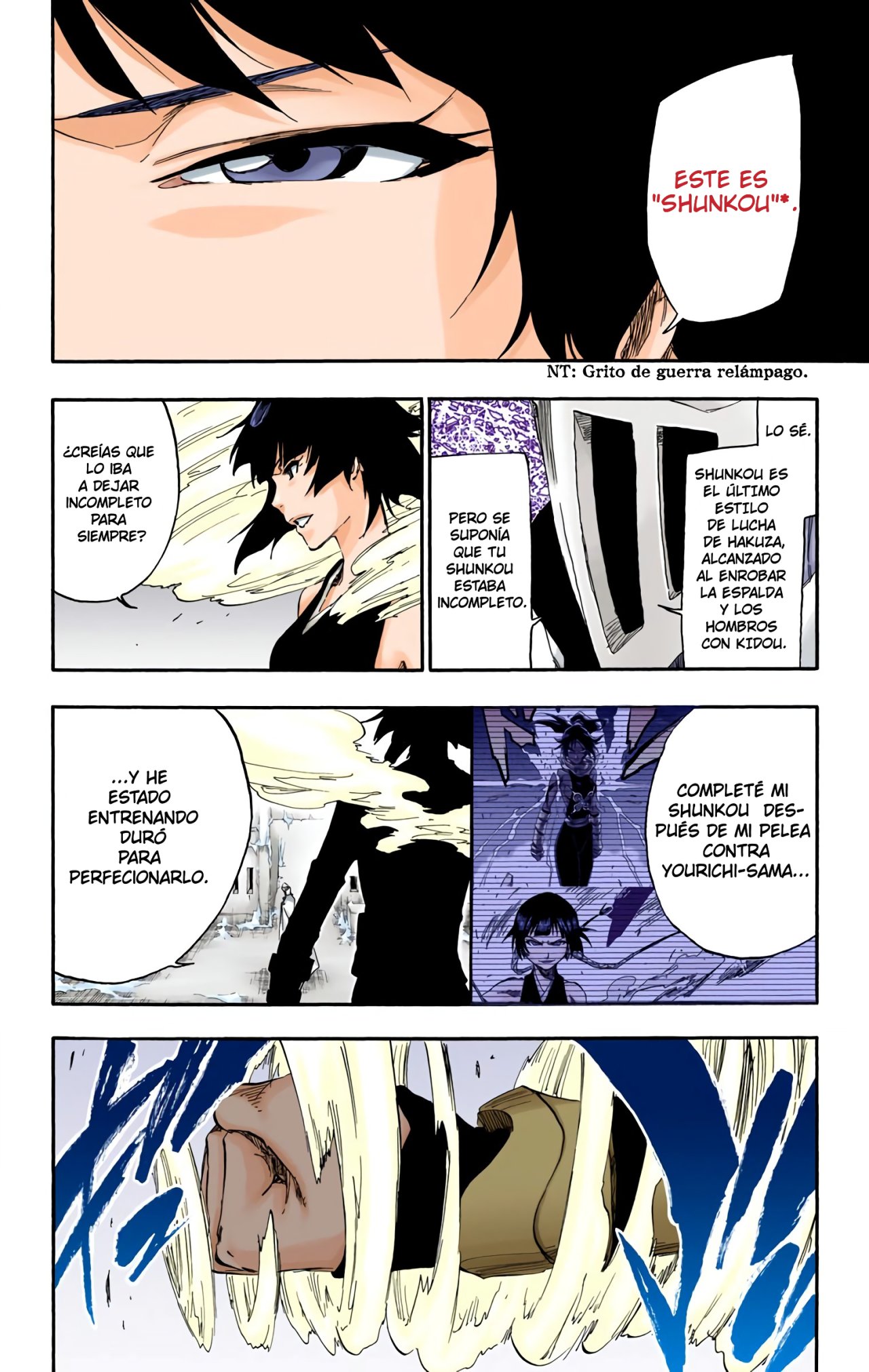 Read Bleach Full Color ES Manga Online