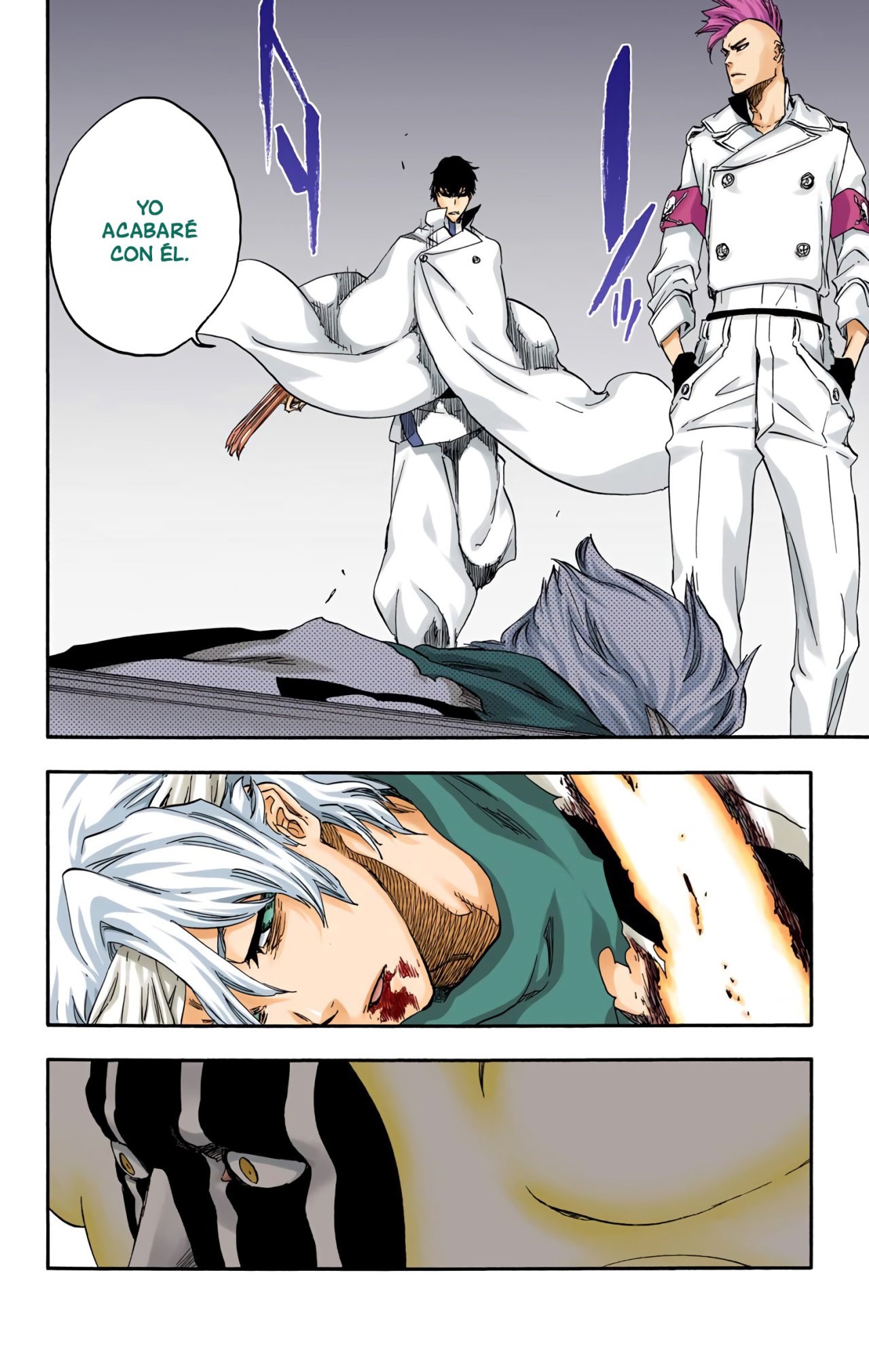 Read Bleach Full Color ES Manga Online