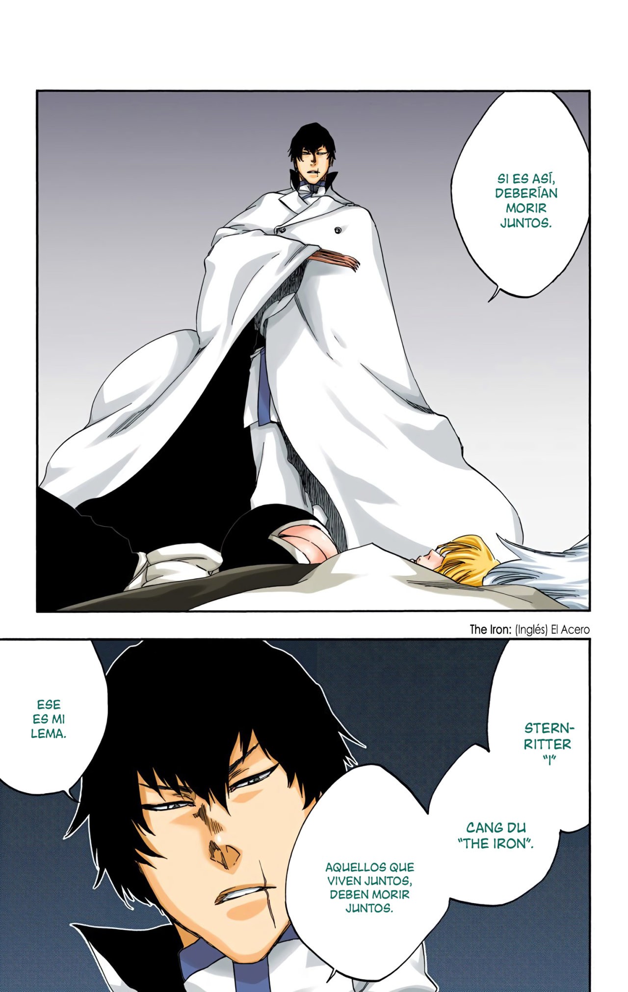 Read Bleach Full Color ES Manga Online