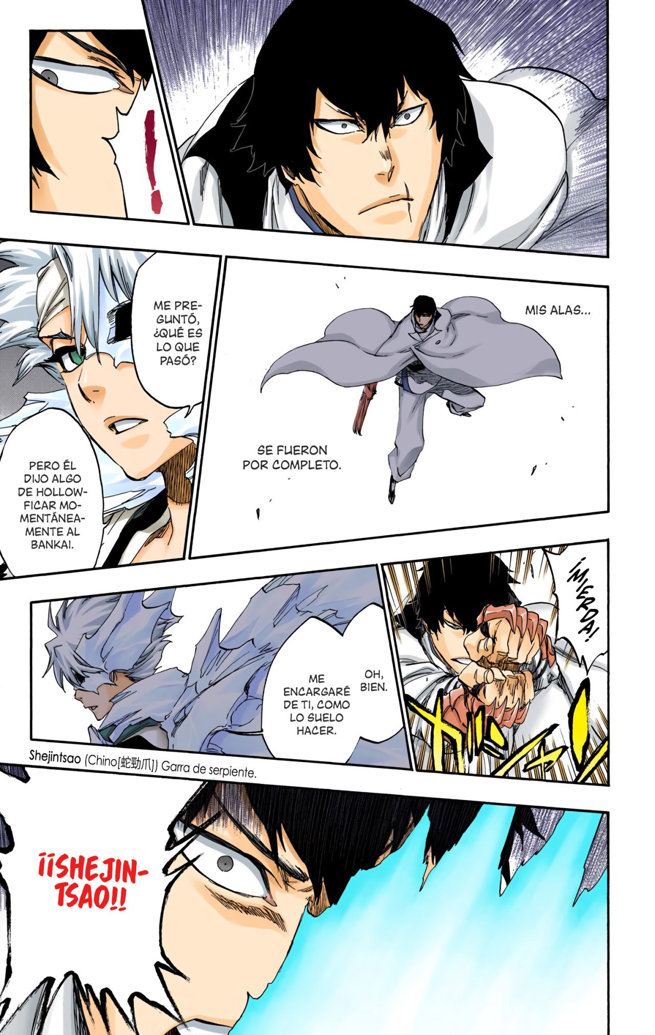 Read Bleach Full Color ES Manga Online