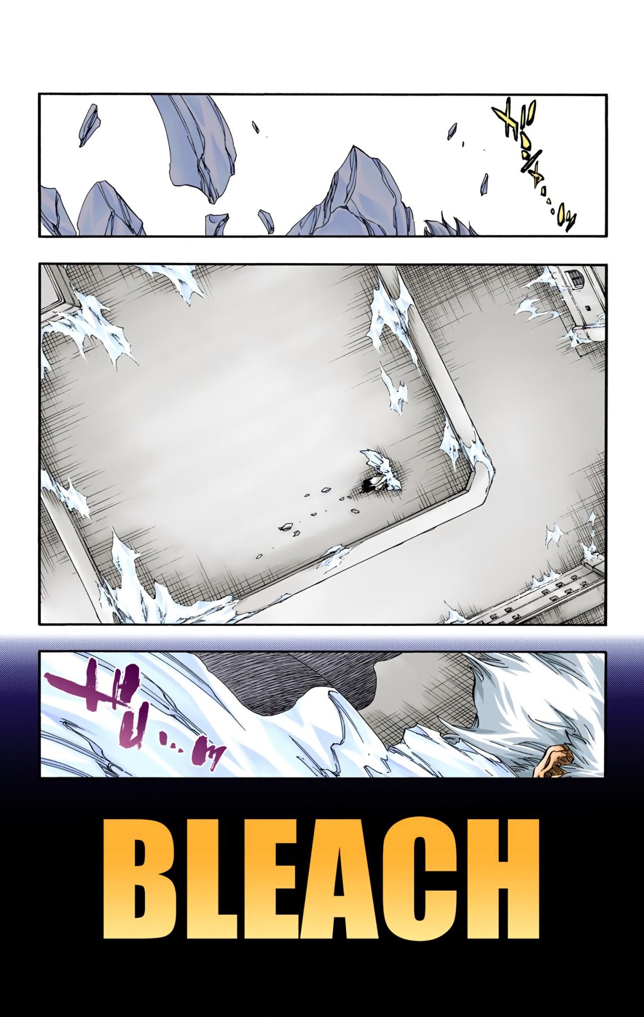 Read Bleach Full Color ES Manga Online