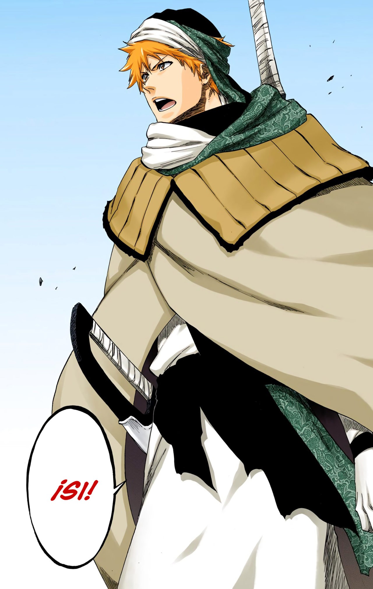 Read Bleach Full Color ES Manga Online