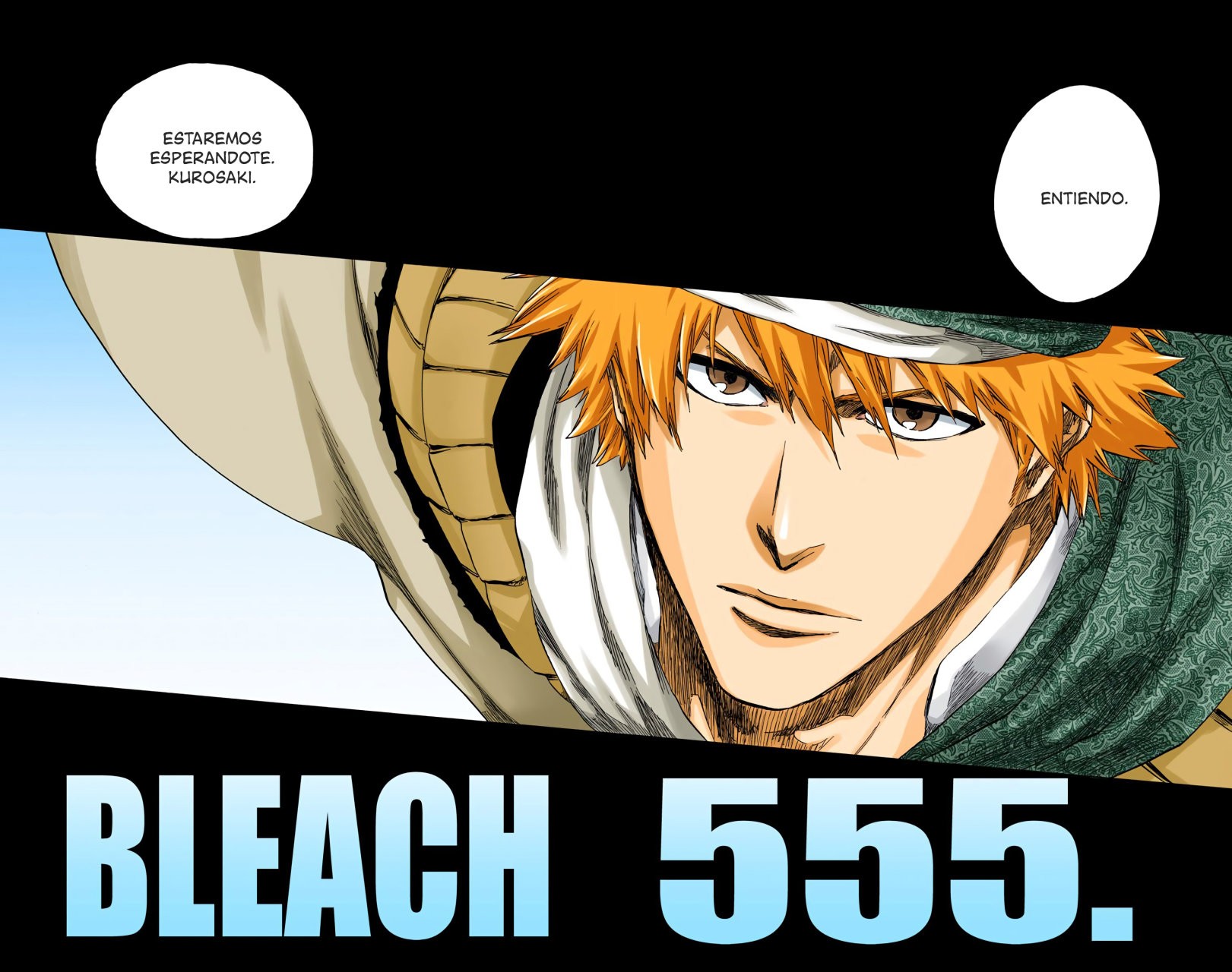 Read Bleach Full Color ES Manga Online