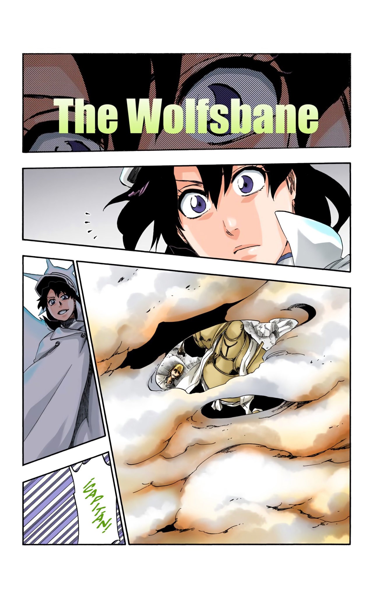 Read Bleach Full Color ES Manga Online
