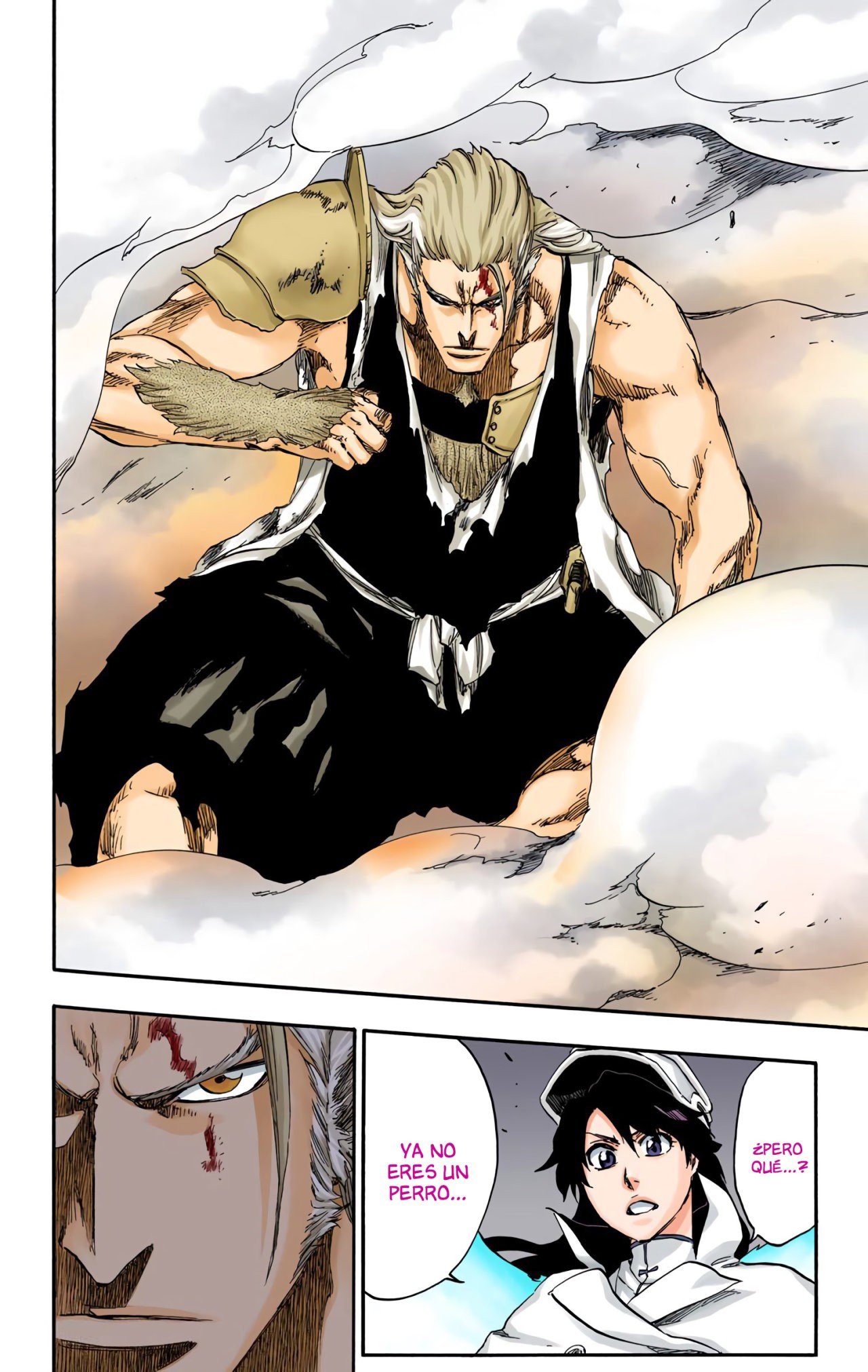 Read Bleach Full Color ES Manga Online