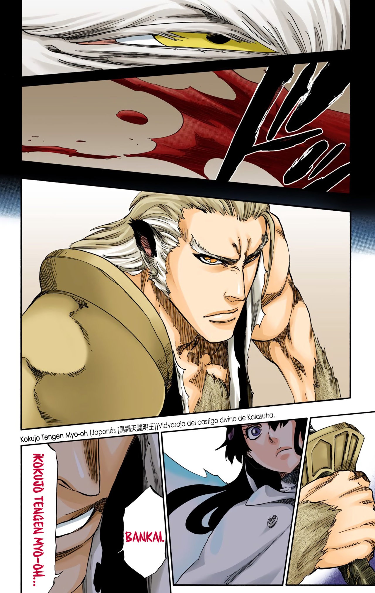 Read Bleach Full Color ES Manga Online
