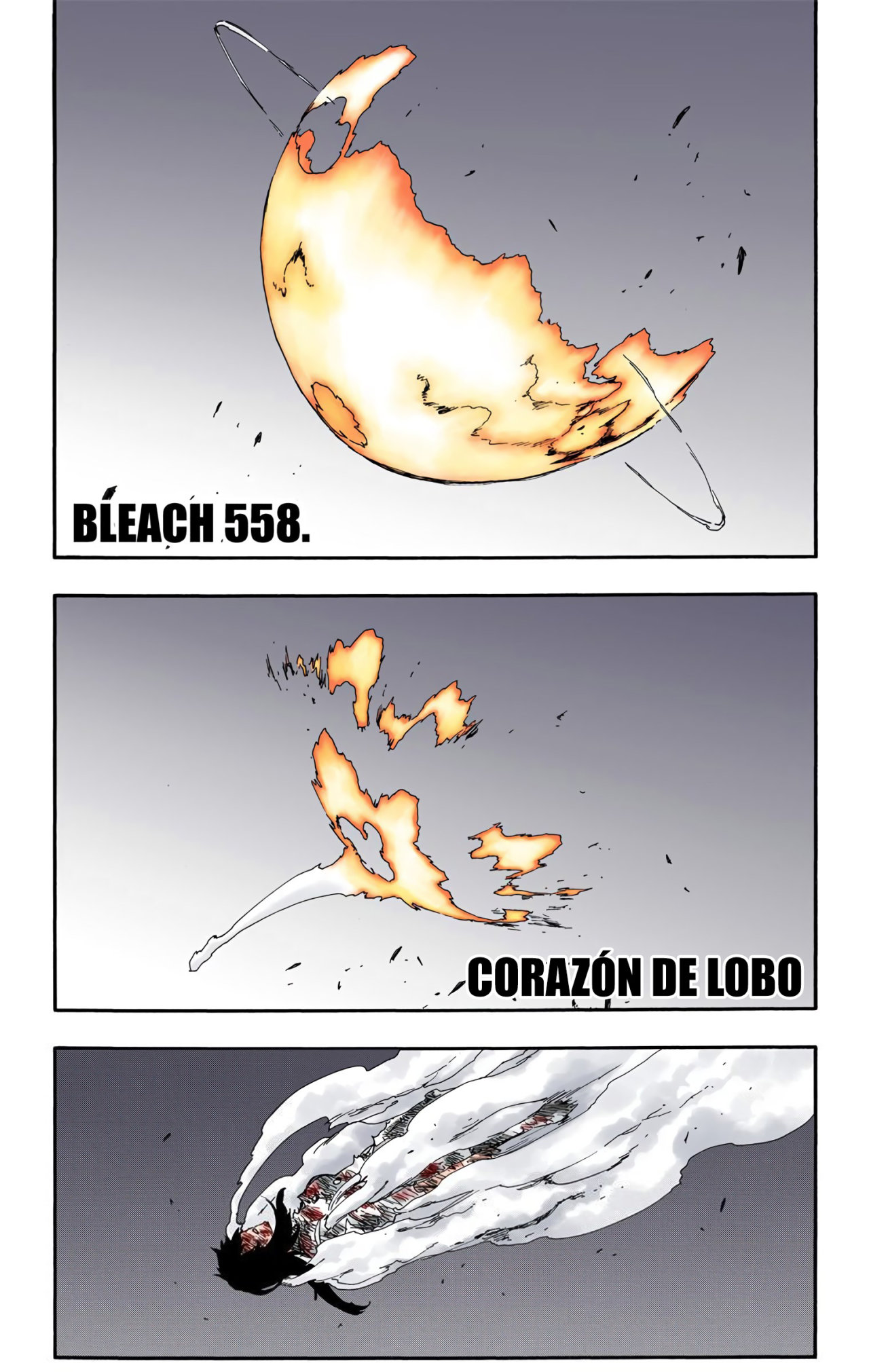 Read Bleach Full Color ES Manga Online