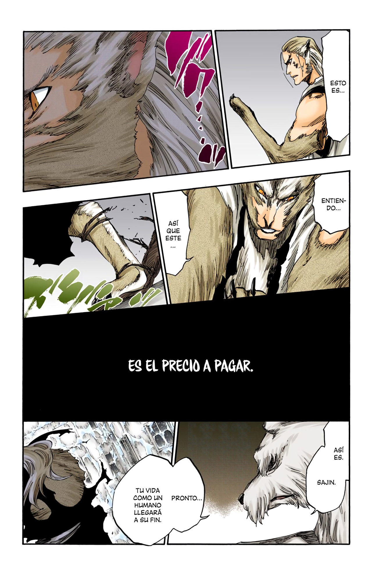 Read Bleach Full Color ES Manga Online