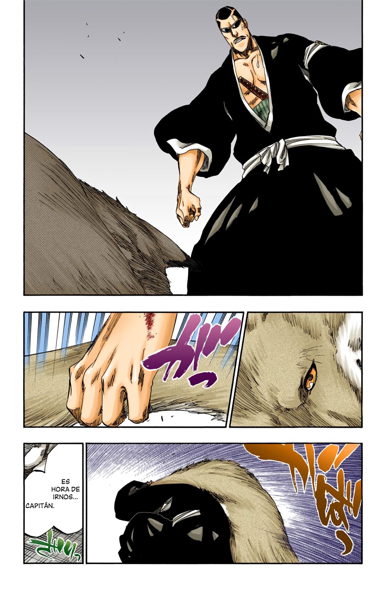 Read Bleach Full Color ES Manga Online