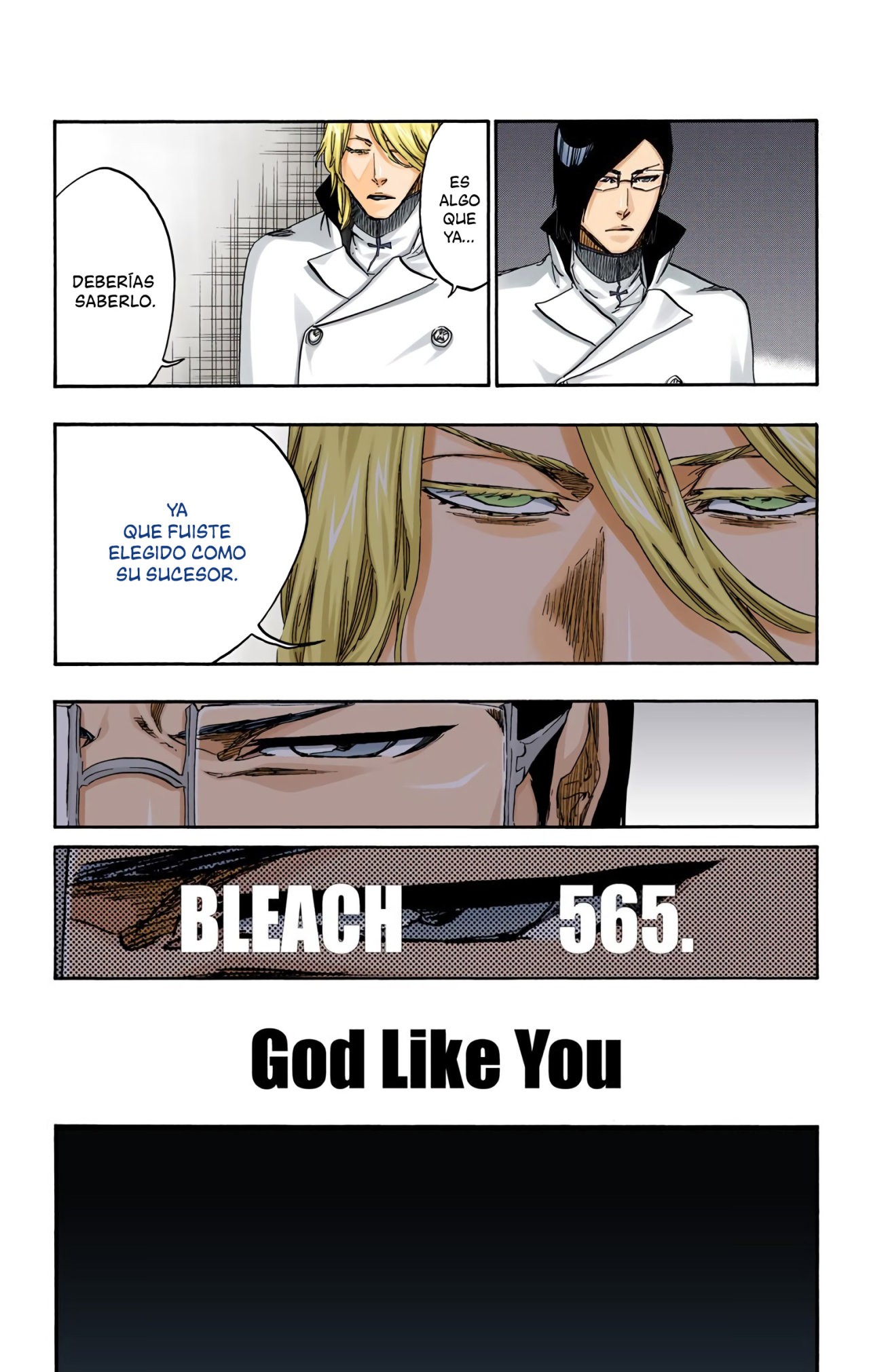 Read Bleach Full Color ES Manga Online