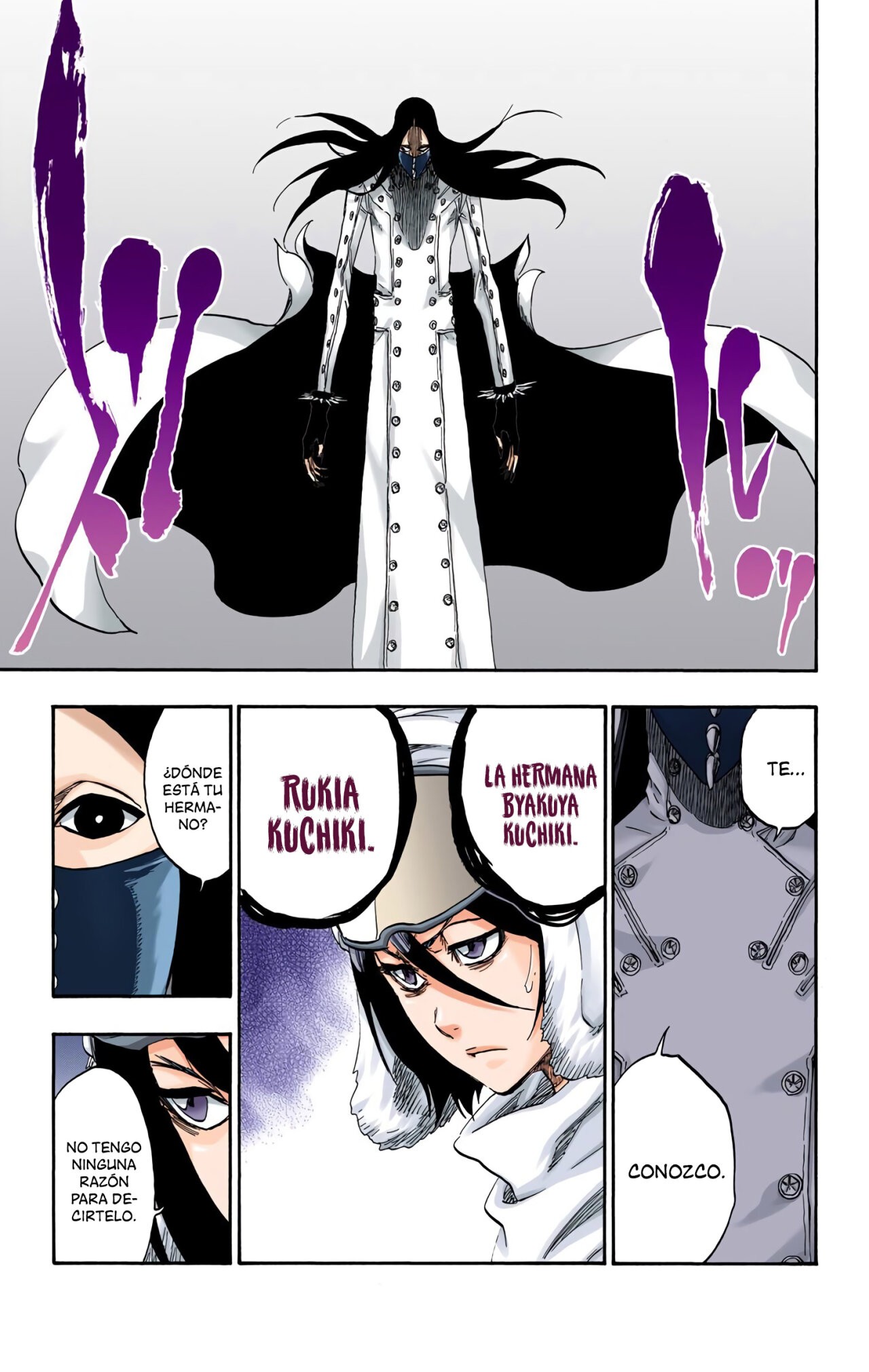 Read Bleach Full Color ES Manga Online