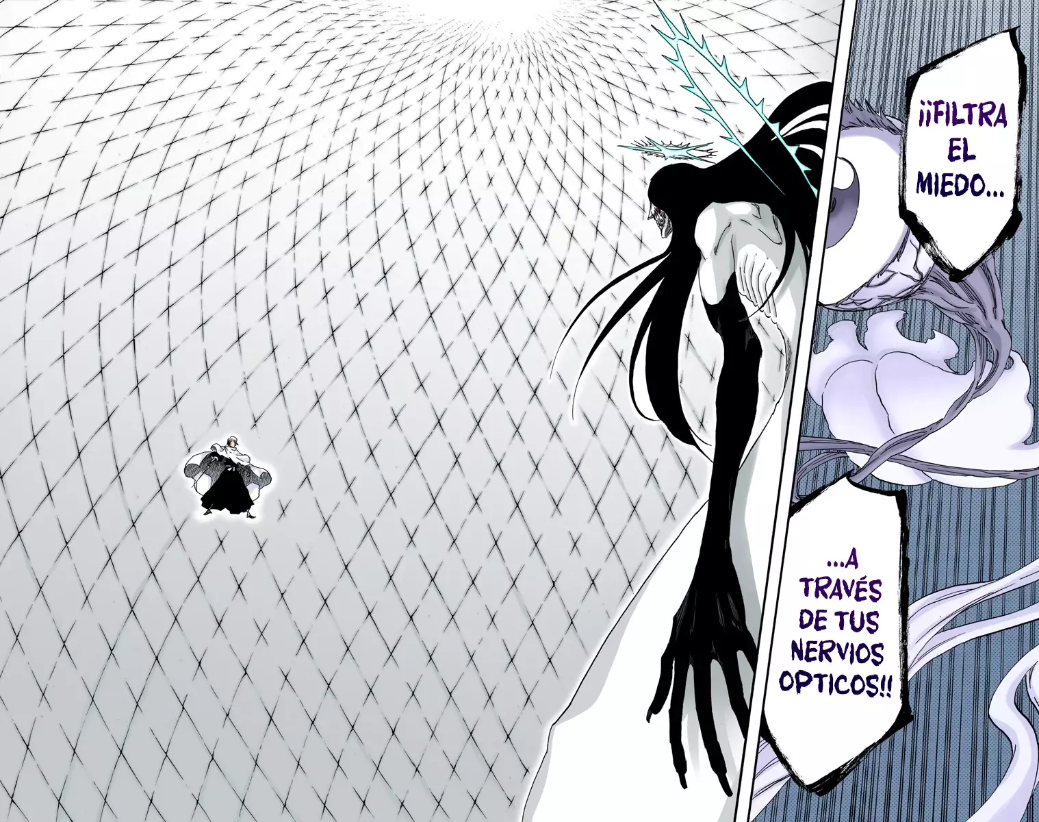 Read Bleach Full Color ES Manga Online