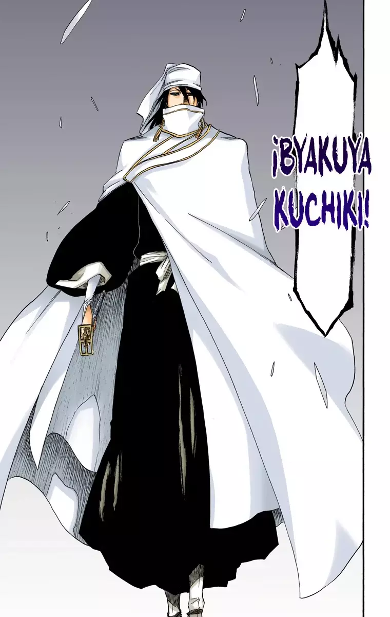 Read Bleach Full Color ES Manga Online