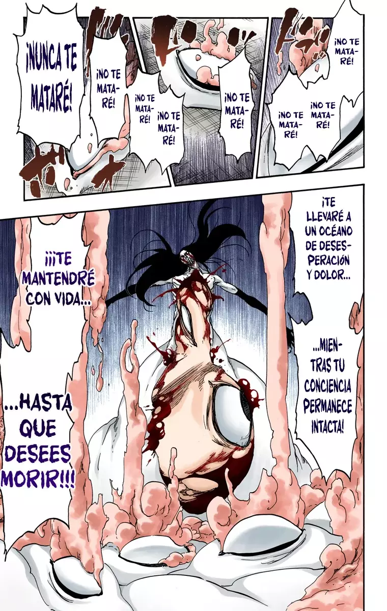 Read Bleach Full Color ES Manga Online