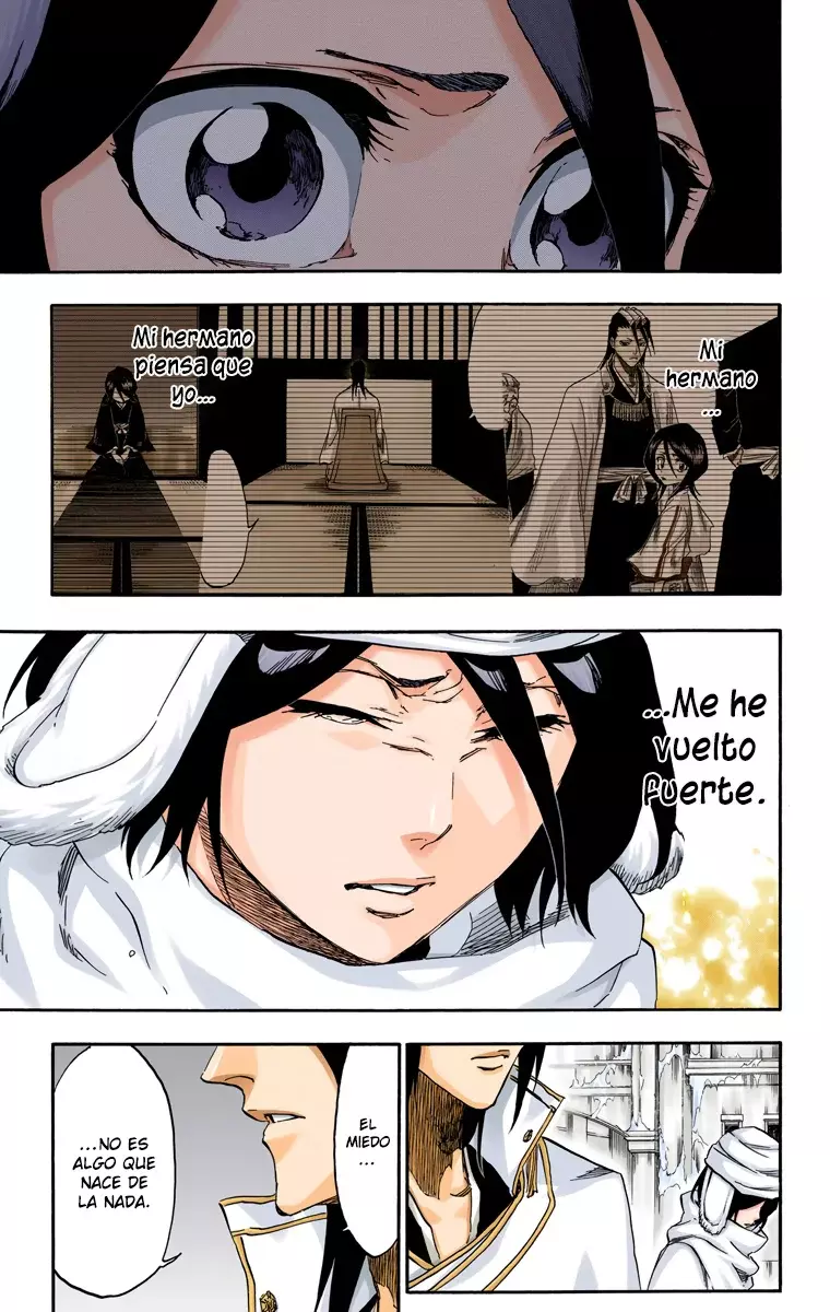 Read Bleach Full Color ES Manga Online