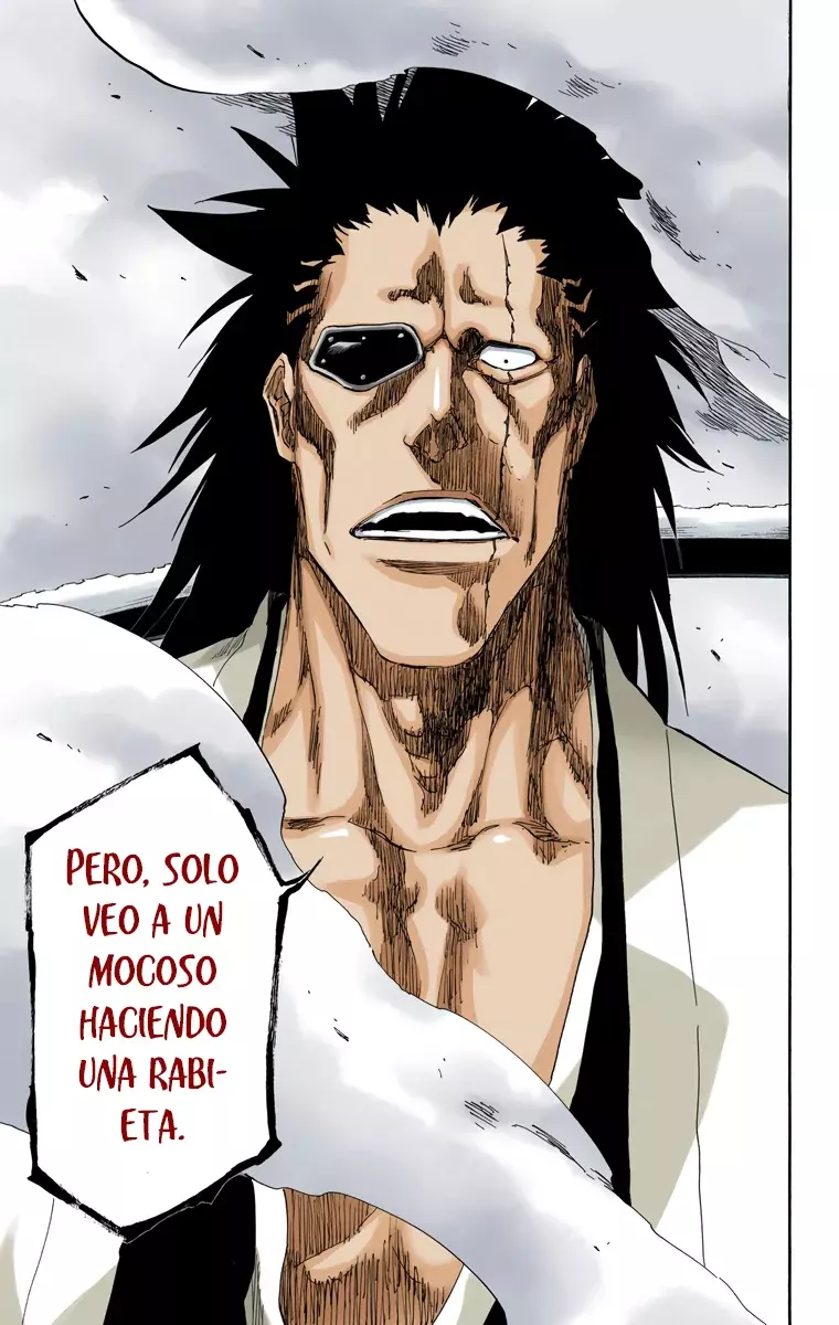 Read Bleach Full Color ES Manga Online