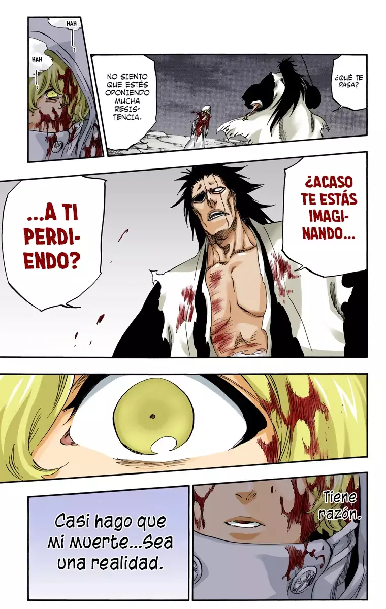 Read Bleach Full Color ES Manga Online