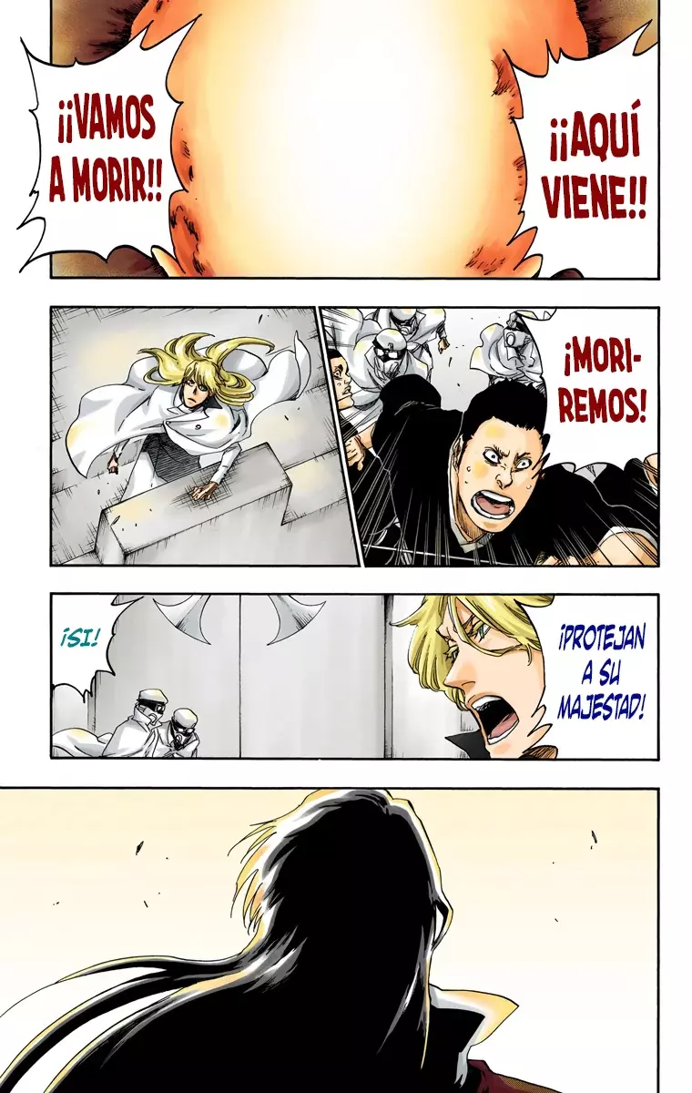 Read Bleach Full Color ES Manga Online