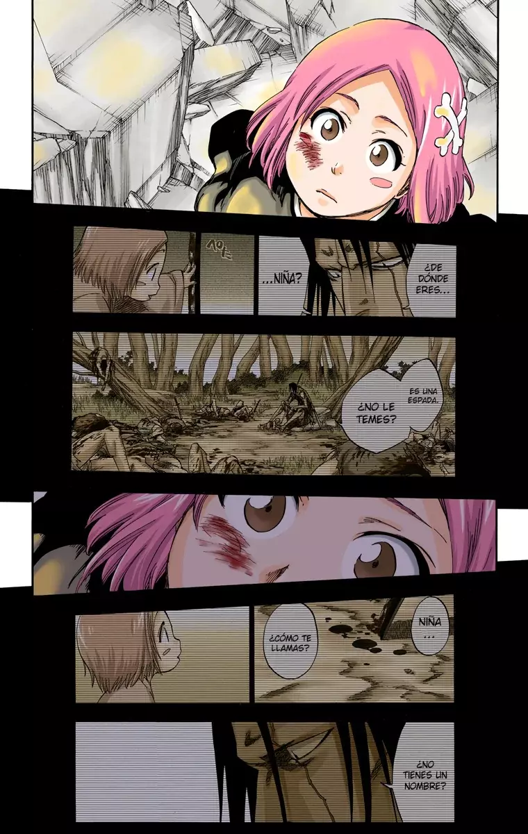 Read Bleach Full Color ES Manga Online