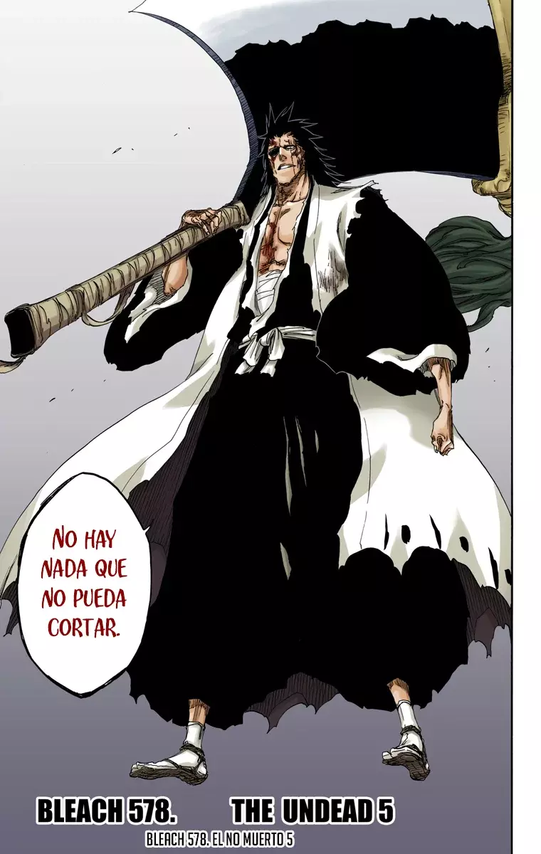 Read Bleach Full Color ES Manga Online