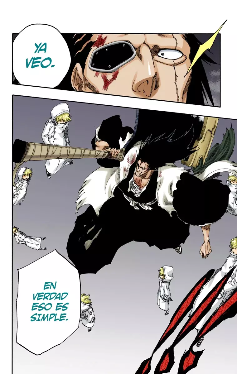 Read Bleach Full Color ES Manga Online