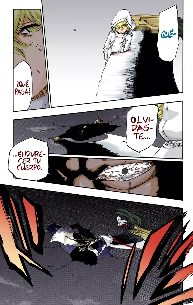 Read Bleach Full Color ES Manga Online