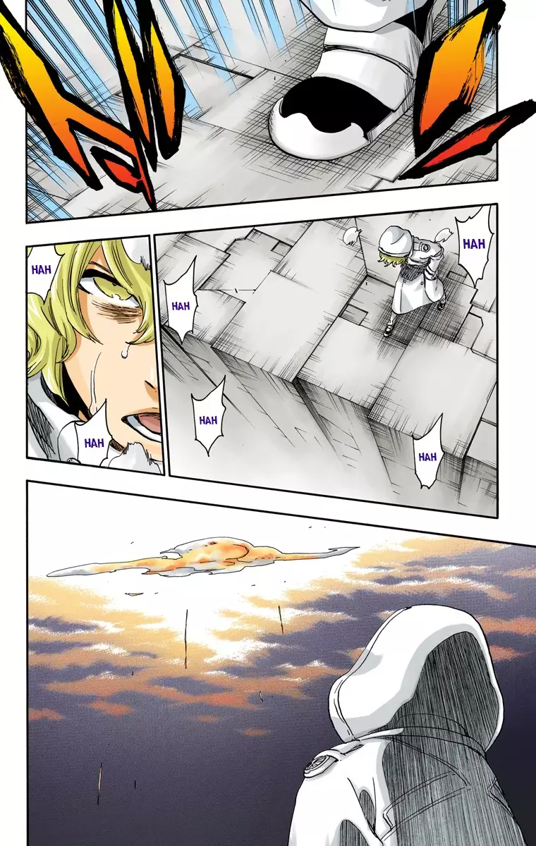 Read Bleach Full Color ES Manga Online