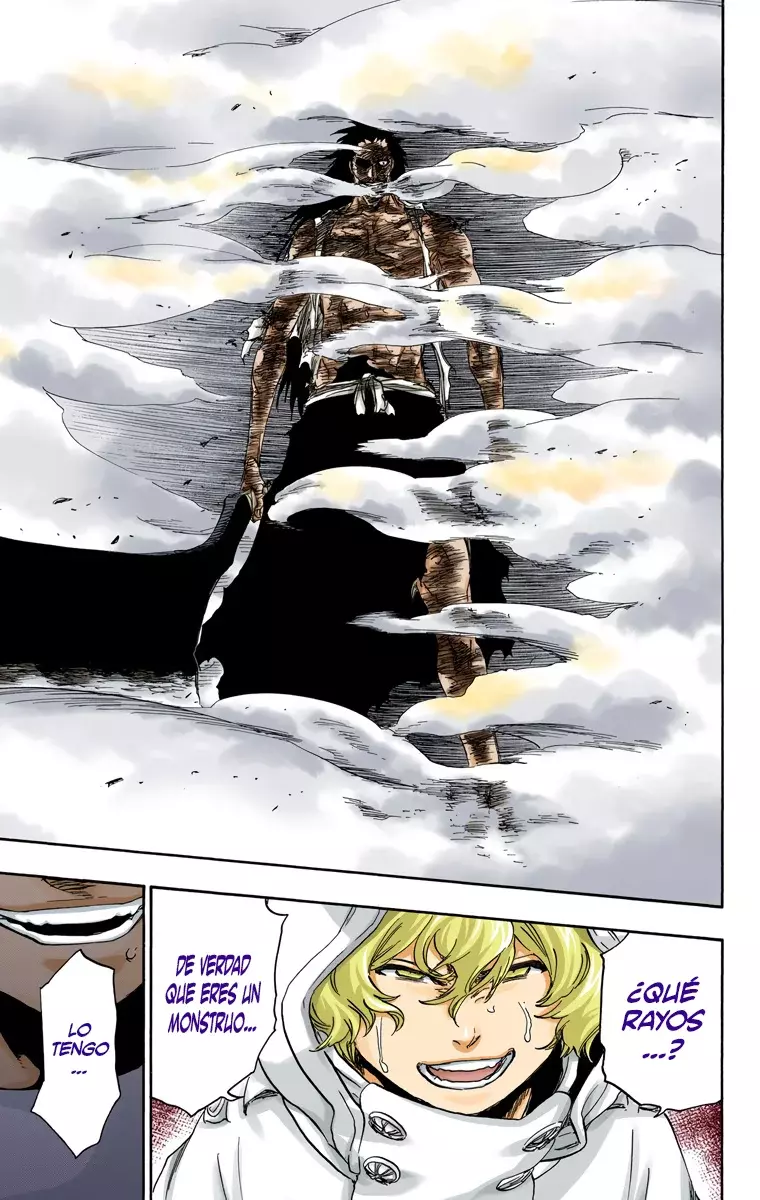 Read Bleach Full Color ES Manga Online
