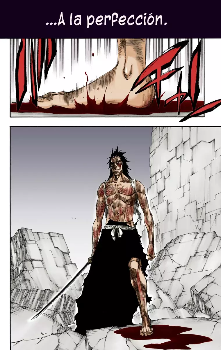 Read Bleach Full Color ES Manga Online