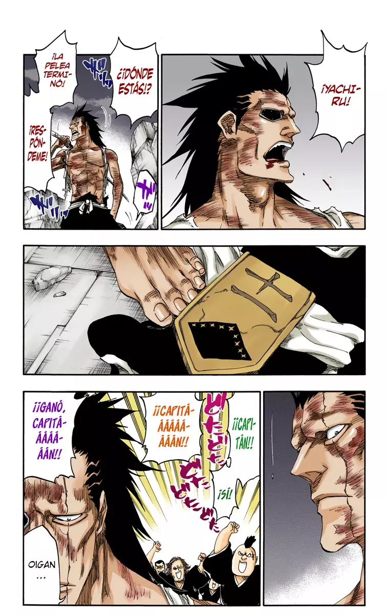 Read Bleach Full Color ES Manga Online