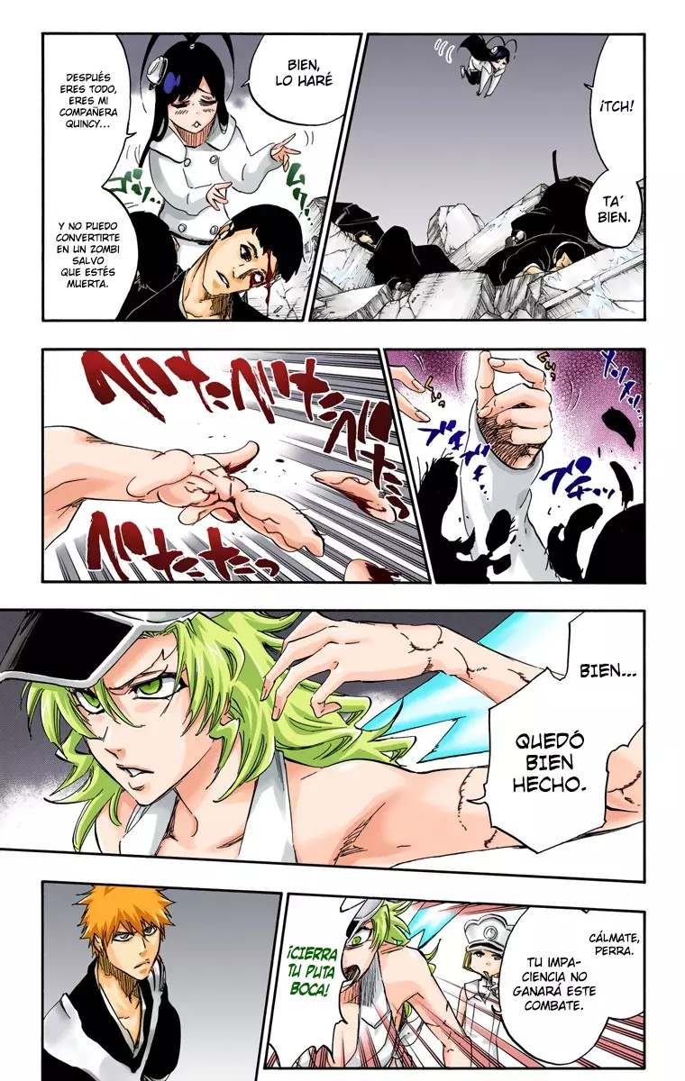 Read Bleach Full Color ES Manga Online