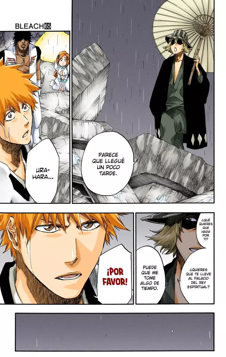 Read Bleach Full Color ES Manga Online