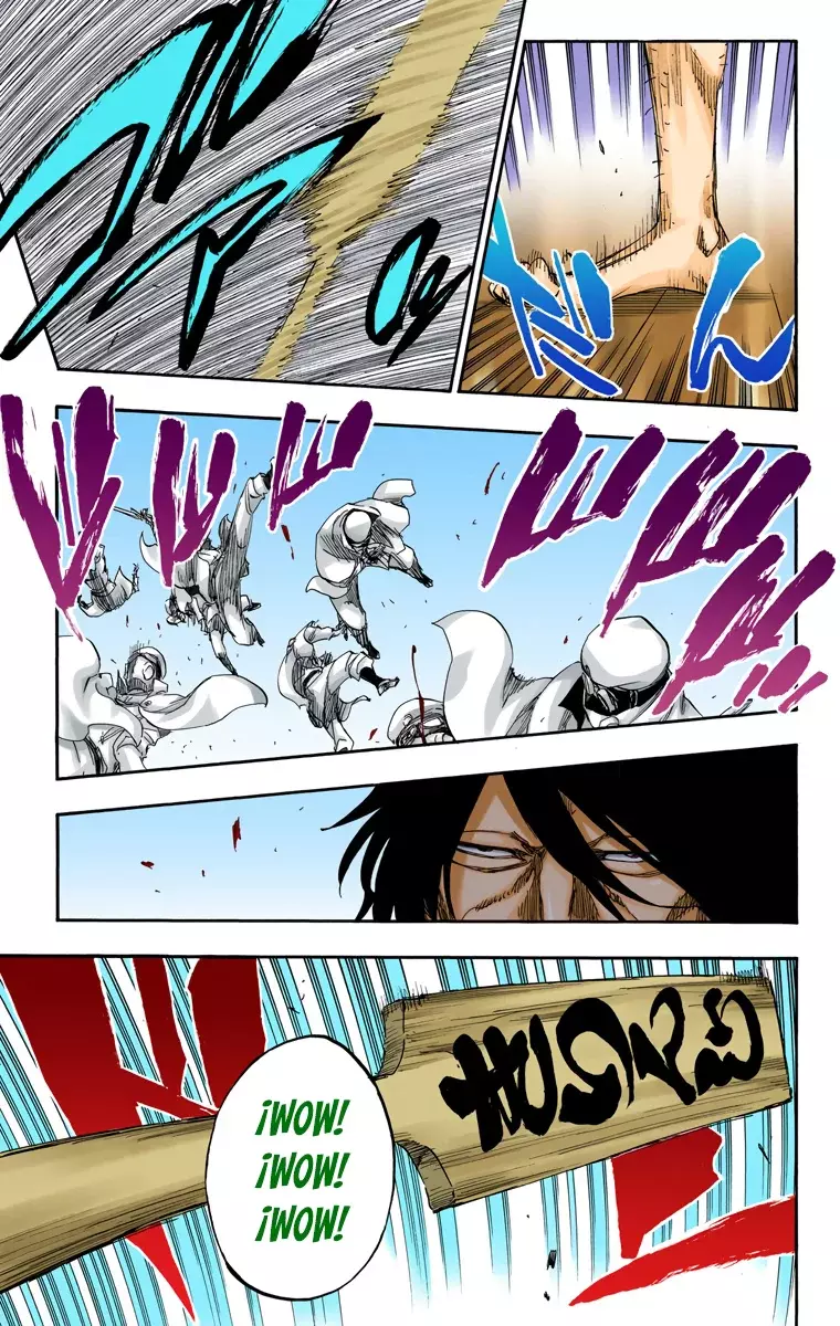 Read Bleach Full Color ES Manga Online