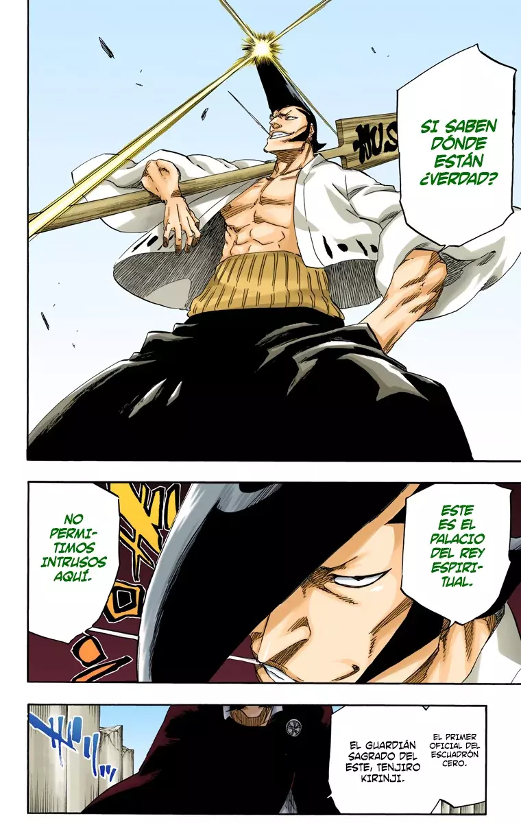 Read Bleach Full Color ES Manga Online