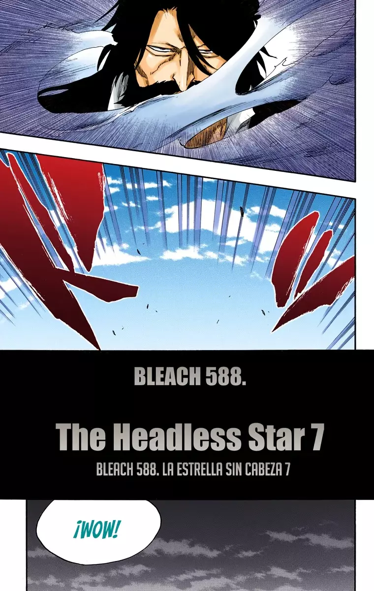 Read Bleach Full Color ES Manga Online