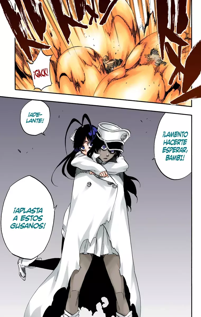 Read Bleach Full Color ES Manga Online