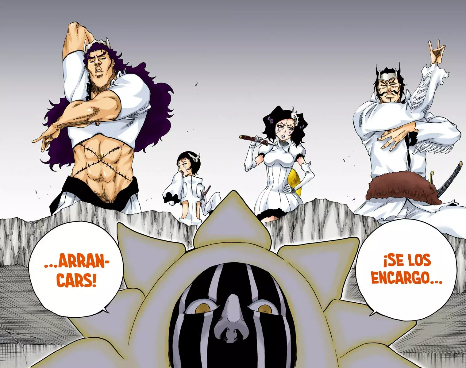 Read Bleach Full Color ES Manga Online