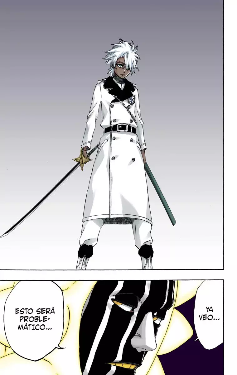 Read Bleach Full Color ES Manga Online