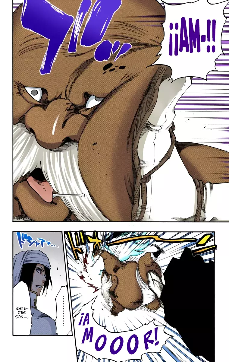 Read Bleach Full Color ES Manga Online